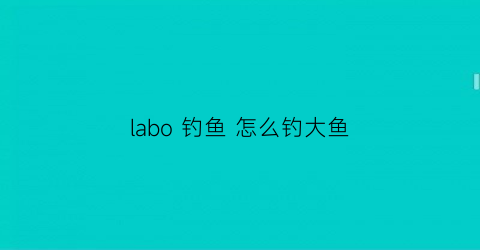 labo 钓鱼 怎么钓大鱼